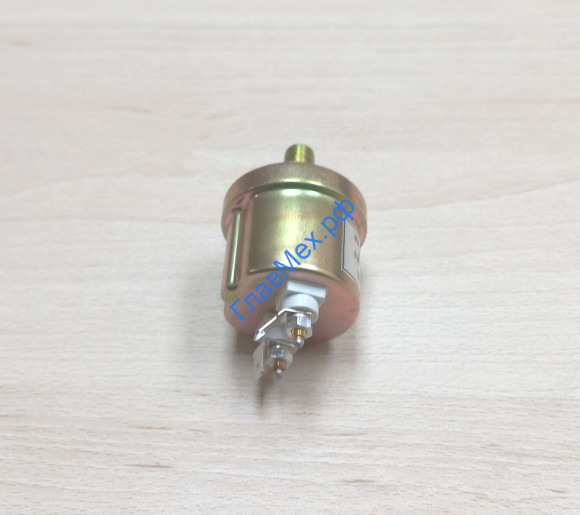 Датчик давления воздуха M=10, 2 контакта SDLG (YG901C3, 4130000308) Датчик давления воздуха M=10, 2 контакта SDLG (YG901C3, 4130000308)