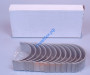 Вкладыши шатунные (к-кт 12 шт) WD615/WP10 Eвро-2 HOWO SHAANXI (61560030034+33, VG1560030033+34)