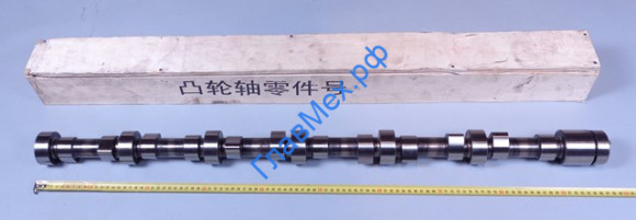 Вал распределительный (распредвал) WP12, D12 HOWO A7 SHAANXI (612630050061, 612630050051, VG1246050001)