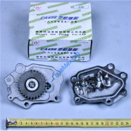 Насос масляный BAW 1065 ,1044 Евро-3 (CA4DC2-10 Eвро-3, CA4DC2-12 Eвро-3) (1011010-55D)